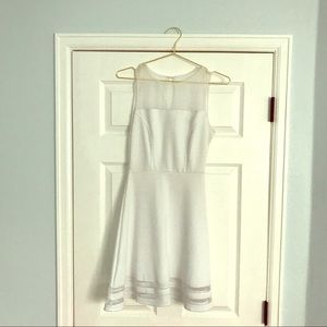 Paper Dolls swing dress w/ netting detail